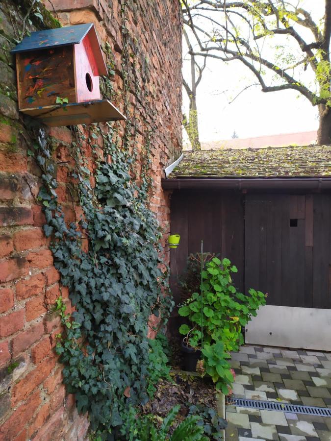 Cozy Uppertown Studio Zagreb Ngoại thất bức ảnh